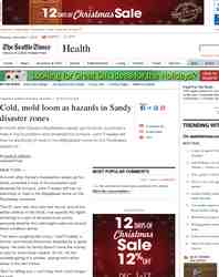 Cold mold loom as hazards in Sandy disaster: Seattle Times
